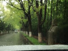 -上海海湾国家森林公园