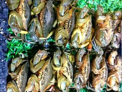 -渔民新村(番禺总店)