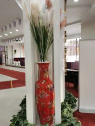 -维多利亚妇产医院-女性专科