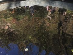 -颛顼龙洞旅游景区