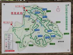 -中山市树木园