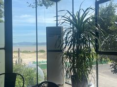 -阿南海鲜
