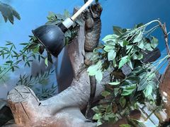 -石家庄市动物园