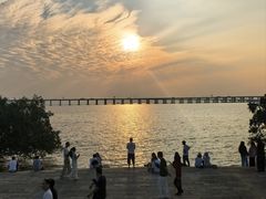 -宝安西湾红树林湿地公园