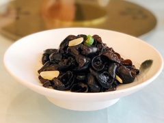 养生小木耳-骏莱海鲜鱼港(五角场店)