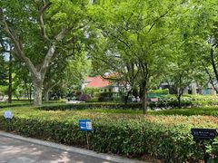 -徐家汇源景区-衡山公园