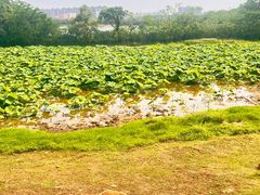 -盘龙城国家考古遗址公园