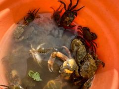 -东戴河风景区-止锚湾