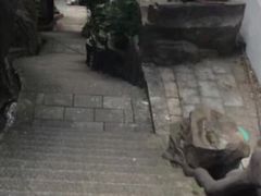 -大罗山风景区