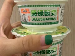 -德禄酸奶(莫家街店)