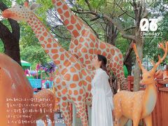 -晓港公园