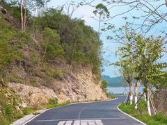 -罗浮山嘉宝田森林温泉度假酒店