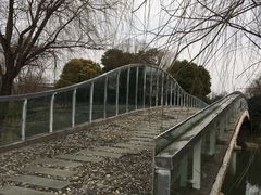 -九里河湿地公园