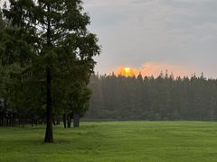 -黄海国家森林公园