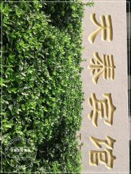 -天泰一站式婚宴·宴会厅