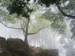 -广州市帽峰山景区