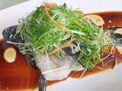 清蒸海鲈-翠景湾脆鱼轩·中山脆肉鲩(井岸17年老店)