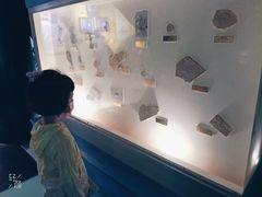 -上海昆虫博物馆