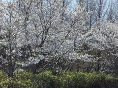 -同里国家湿地公园