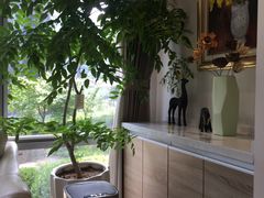 -精德口腔·种植修复·儿牙中心(财富中心店)