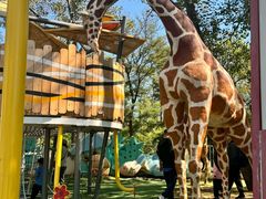 -南戴河国际娱乐中心