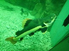 -上海长江河口科技馆