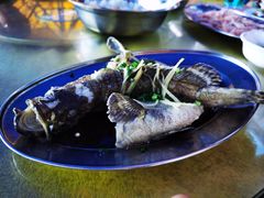 -斌记海鲜加工(十四涌店)