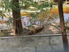 -大连森林动物园