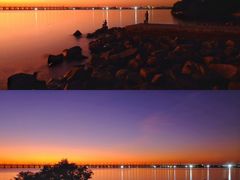 -宝安西湾红树林湿地公园