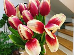 -森野花艺培训·企业团建活动沙龙