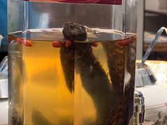 -泽成冰煮羊(非·遗东岸国际店)