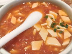 番茄炖豆腐-阿五黄河大鲤鱼(海尚店)