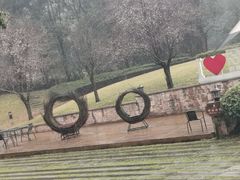 -成都蒲江花样年福朋喜来登度假酒店·宜客乐西餐厅