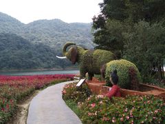 -广州市石门国家森林公园