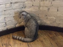 -不舍昼夜咖啡馆