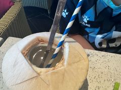 -润园四季椰子鸡火锅(海上世界店)