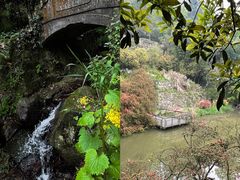 -莫干山风景区