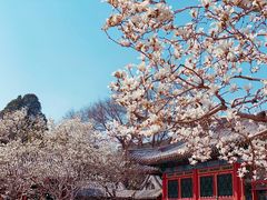 -颐和园