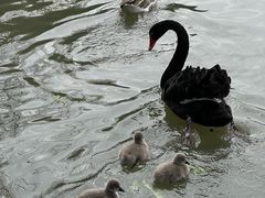 -宁波野生动物园