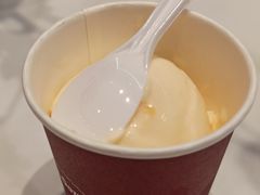 哈密瓜球-哈根达斯(SM店)