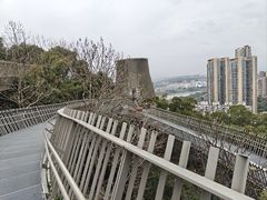 -福道