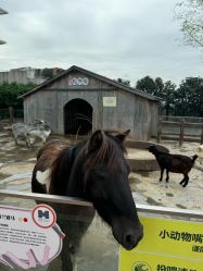 -造物庄园 萌宠纪(苏州湾歌林公园店)