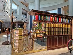 -新加坡瑞士史丹福酒店