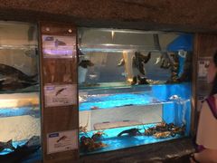 -郑庄脂渣海鲜楼(九水路店)