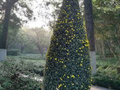 -杭州植物园