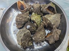 捞汁海螺-雅逸居海鲜小厨