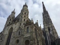-斯蒂芬主教座堂(Stephansdom)