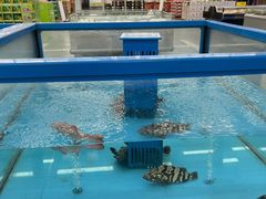 -麦德龙(浦东店)
