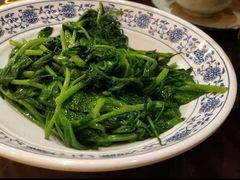 -杨记隆府(南坪店)