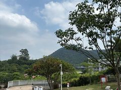 -白石龙音乐公园